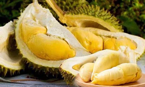 Giá sầu riêng hôm nay 26/12/2025: Sầu Thái loại A giảm sâu 15.000 đồng/kg