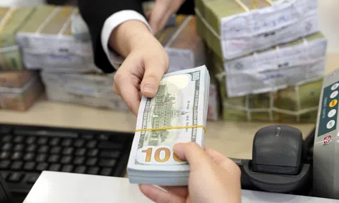 Cá nhân mua bán ngoại tệ với nhau có thể bị phạt tới 100 triệu đồng