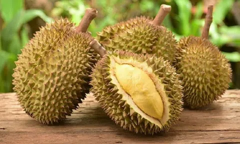 Giá sầu riêng hôm nay 1/1/2026: Thị trường ổn định