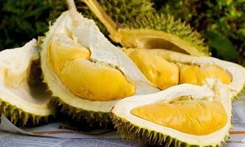 Giá sầu riêng hôm nay 3/1/2025: Ri6 tăng