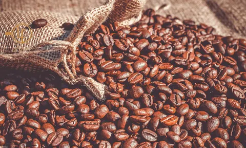 Giá cà phê hôm nay 3/1/2025: Tiếp đà tăng