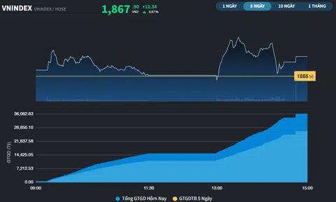 Thị trường phân hóa mạnh, cổ phiếu Bất động sản đi ngược chỉ số