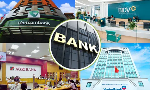 Loạt ngân hàng báo lãi “khủng” năm 2025