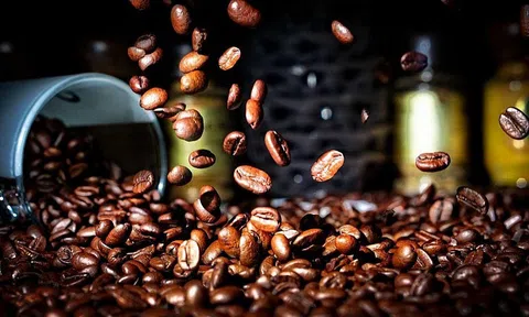 Giá cà phê hôm nay 14/1/2026: Robusta tiếp tục đi lên, arabica đảo chiều tăng trở lại