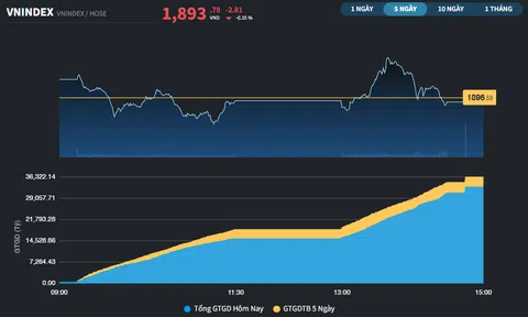 Nỗ lực chinh phục 1.900 điểm vẫn chưa thành công