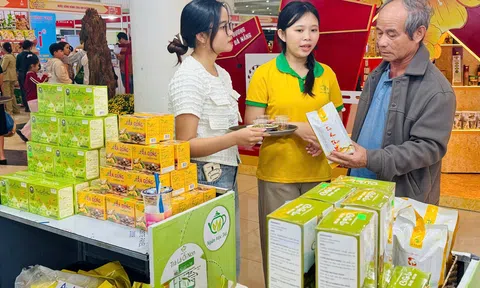 Khai mạc Hội chợ Xuân Đà Nẵng 2026: Điểm hẹn mua sắm Tết quy mô lớn