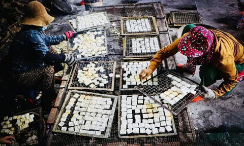 Giữ hồn Tết trong lửa nghề: Khi đặc sản OCOP Đà Nẵng bước vào mùa xuân