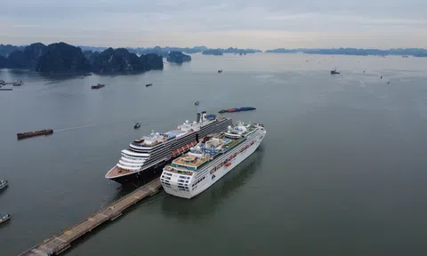 Du lịch Quảng Ninh 2025: Động lực tăng trưởng xanh từ chất lượng chi tiêu