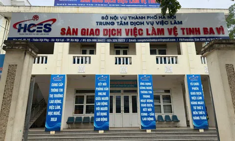 Sắp xếp lại hệ thống Sàn GDVL Hà Nội: Bước đi cần thiết để nâng cao hiệu quả kết nối thị trường lao động