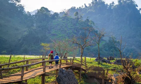 8 địa điểm du xuân miền Bắc dịp đầu năm đẹp mê hồn