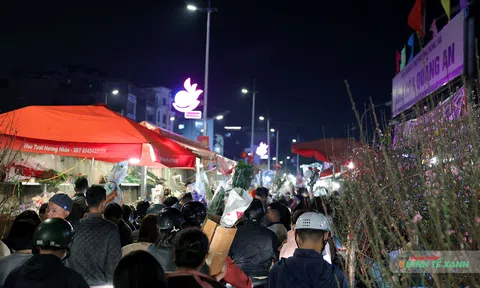Chợ hoa đêm Quảng An đông đúc người mua kẻ bán phiên chợ cuối năm