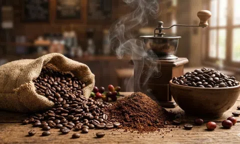 Giá cà phê hôm nay 26/2/2026: Tăng mạnh hai phiên liên tiếp, robusta lên vượt 3.700 USD/tấn