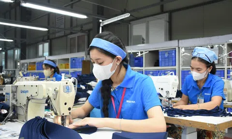 Linh hoạt mức đóng bảo hiểm thất nghiệp: Mở rộng “vùng đệm” an sinh cho người lao động