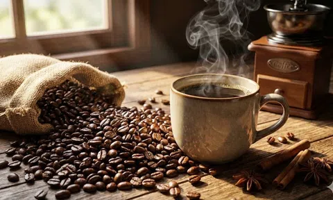 Giá cà phê hôm nay 6/3/2026: Nội địa bật tăng mạnh, tiến sát mốc 97.000 đồng/kg