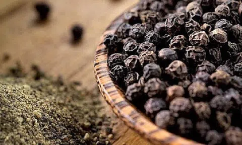 Giá tiêu hôm nay 10/3/2026: Thị trường ổn định