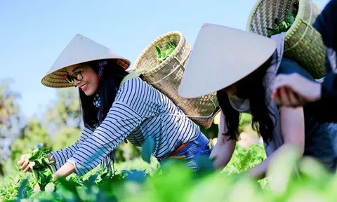 Du lịch gắn với nông nghiệp xanh - Hướng bền vững cho nông thôn và phát triển kinh tế địa phương