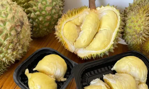 Giá sầu riêng hôm nay 12/3/2026: Sầu riêng Thái giữ đỉnh 175.000 đồng/kg