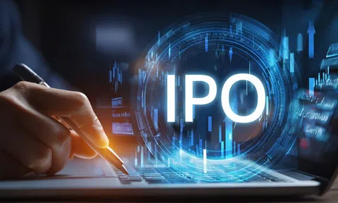 Nhà đầu tư tham gia sóng IPO 2025 nhóm Chứng khoán đều "vào bờ"