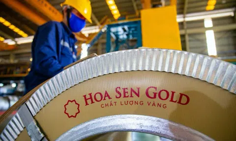 Hoa Sen chuẩn bị phát hành hơn 186 triệu cổ phiếu trả cổ tức