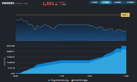 Nhịp điều chỉnh tiếp diễn, VN-Index xuống dưới mốc 1.600 điểm