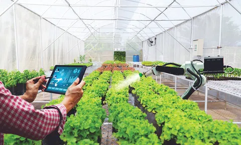 Đột phá tư duy kinh tế nông nghiệp: Cú hích từ Chương trình hành động mới của Chính phủ