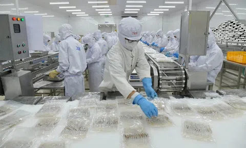 Vietnam Aquatech Fair 2026 - Từ con giống đến chế biến: Chuỗi giá trị ngành thủy sản hội tụ