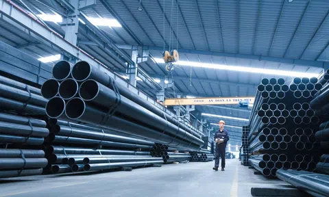 Con trai Chủ tịch Hòa Phát không mua hết 50 triệu cổ phiếu đã đăng ký