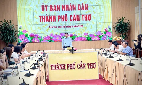 Cần Thơ thúc đẩy liên kết sản xuất – tiêu thụ, ổn định thị trường lúa gạo