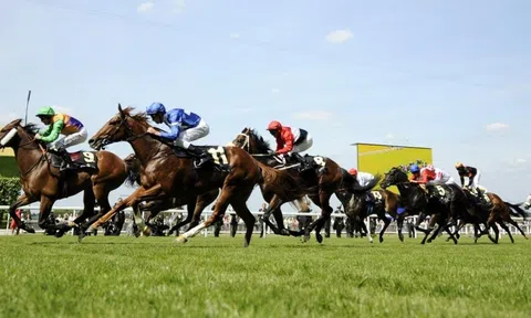 Cơ hội nào cho sóng ngành Ngân hàng trong cuộc đua tăng vốn mới?