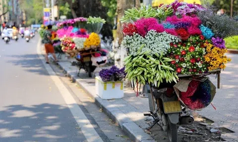 Dự báo thời tiết 17/4: Miền Bắc mát mẻ, chiều tối và đêm có mưa