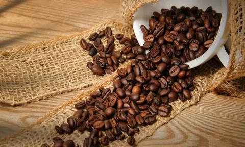 Giá cà phê hôm nay 18/4/2026: Quay đầu giảm, thị trường điều chỉnh sau chuỗi tăng