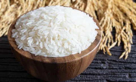 Giá lúa gạo hôm nay 18/4/2026: Giá gạo xuất khẩu tăng