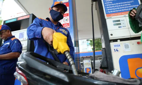 Giá xăng dầu hôm nay 19/4/2026: Cập nhật giá xăng dầu trong nước, quốc tế