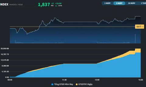 Phiên đầu tuần, thị trường tăng gần 20 điểm