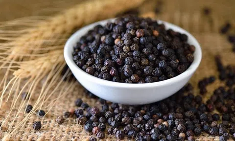 Giá tiêu hôm nay 21/4/2026: Duy trì ổn định