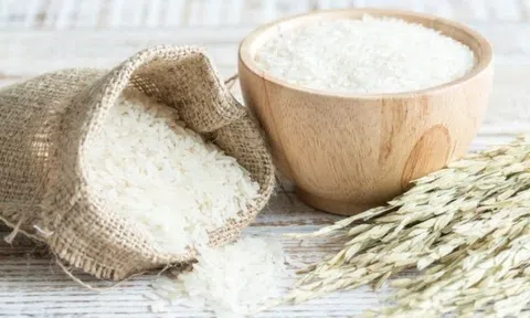 Giá lúa gạo hôm nay 22/4/2026: Tiếp tục duy trì ổn định