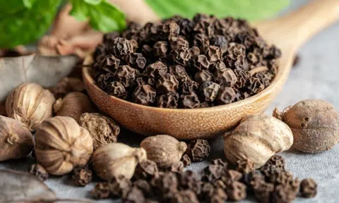 Giá tiêu hôm nay 28/4/2026: Toàn cảnh thị trường, xu hướng và dự báo