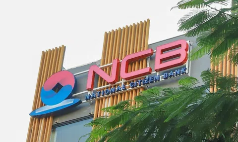 NCB báo lãi quý I tăng 43%, đặt mục tiêu hoàn thành sớm kế hoạch kinh doanh 2026