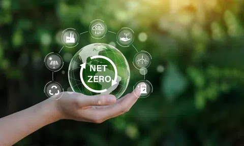 Đầu tư lâm nghiệp bền vững gắn với tín chỉ carbon: Cơ hội cho doanh nghiệp Việt