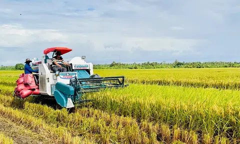 Không gian xanh cho sinh kế bền vững