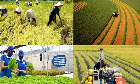 Vốn xanh vẫn khó “chảy” vào doanh nghiệp nhỏ