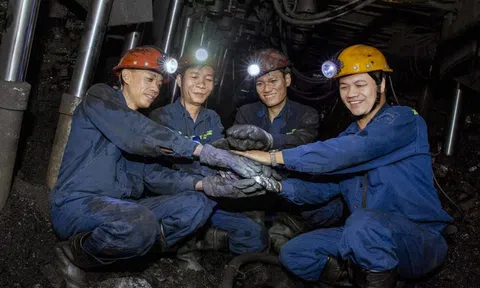 TKV giữ nhịp tăng trưởng, đảm bảo an ninh năng lượng trong bối cảnh nhiều biến động