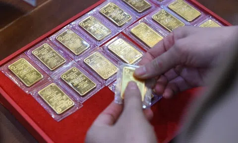 Giá vàng hôm nay 11/5/2026: Giá vàng SJC, nhẫn 9999, vàng nữ trang 24K mới nhất