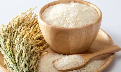 Giá lúa gạo hôm nay 13/5/2026: Duy trì ổn định