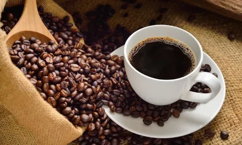 Giá cà phê hôm nay 19/5/2026: Giá đồng loạt giảm mạnh, robusta chạm đáy 4 tuần