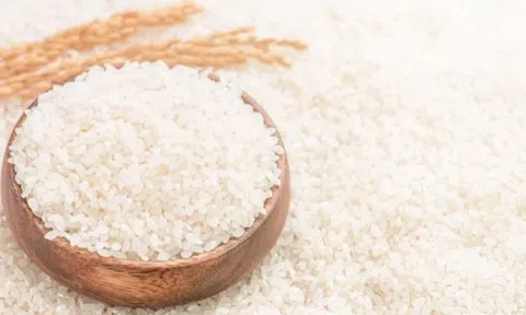 Giá lúa gạo hôm nay 19/5/2026: Toàn cảnh thị trường lúa gạo trong nước và xuất khẩu