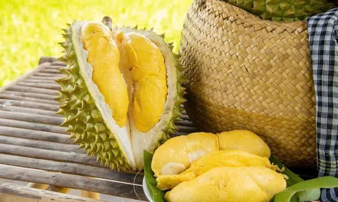 Giá sầu riêng hôm nay 19/5: Diễn biến thị trường trong nước và quốc tế