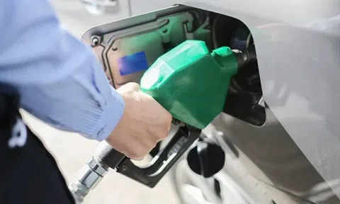 Giá xăng dầu hôm nay 21/5/2026: Cập nhật giá xăng dầu thế giới và trong nước