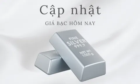 Giá bạc hôm nay 23/5/2026: Cập nhật giá bạc thế giới và trong nước mới nhất