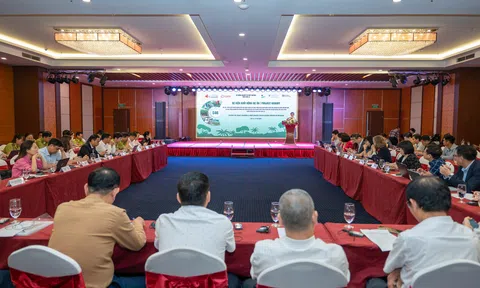 Khởi động dự án “Carbon for Good”, mở hướng đi mới từ kinh tế rừng